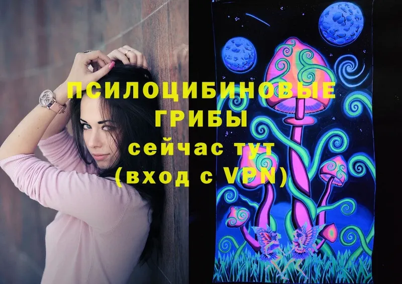 Псилоцибиновые грибы Magic Shrooms  Агрыз 